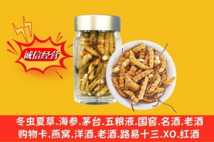 贡嘎县回收散虫草