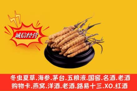 贡嘎县求购回收虫草多少钱每克